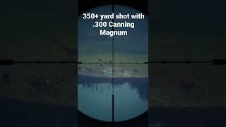 300+ yard shot with .300 Canning Magnum in COTW #cotw #hunting #muledeer #gaming #outdoors