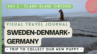 Day 2 | Visual Travel Journal: Öland Island (Sweden) | 13-Day Minimalist Road Trip