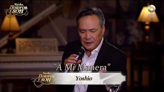 A Mi Manera - Yoshio - Noche, Boleros y Son