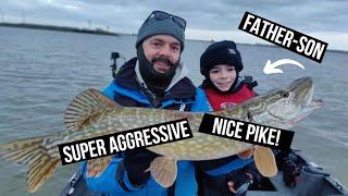 Last session (aggressive pike attack!)