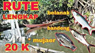 sepot mancing jaer bandeng  (BELANAK ) blanak nya sangat GACOR