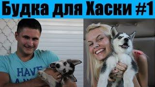 Будка для сибирской хаски / Dog house Husky 1-я часть