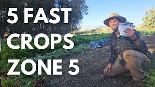 5 Fast Growing Vegetables for Zone 5 Gardeners little time & space