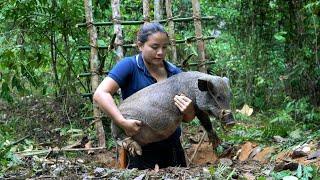 Trap Wild Boar In The Jungle, Build A Shelter Near Wild Boar Lair, survival alone, Survival Instinct