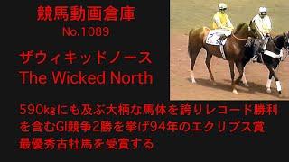 【競馬】ザウィキッドノース　The Wicked North【No1089】