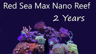 Red Sea Max Nano Reef Tank Journey