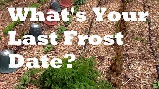 How I Found My Last Frost Date. Do You Know Yours?