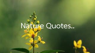 Nature Quotes...