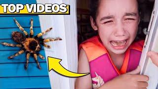 We found Huge TARANTULA in Our New House! *SCARY*