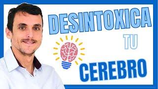 7️⃣ CLAVES para DESINTOXICAR la  MENTE y el CEREBRO  de una manera EFECTIVA | SISTEMA GLINFATICO 