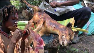 See How Hadzabe Successful Hunt and Cook their Prey in the WILD | Hunt to Survive