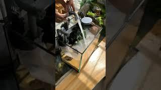 New DIY Low Budget Planted fish Aquarium / Tank | New Year Special 2023 | #shorts #shortfeed