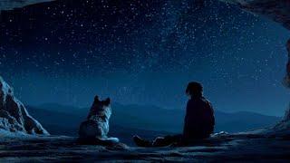 Alpha 2018 - Bressanone - Matthew Lien - A depressed and lonely wolf