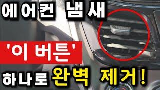 20년 넘게 운전한 사람도 잘 모르는 대박 꿀팁 총정리 + 필터 교환 가이드 포함