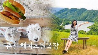 국내여행지추천 - '춘천의 스위스' 해피초원목장