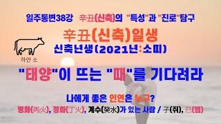 일주통변 38강 신축辛丑 내사주 내가 본다 "신축" 일주의 특성을 진단하고 진로와 적성을 탐구하는 학습 영상입니다 #명리학 #사주 #사주팔자 #사주명리 #운세 #교육