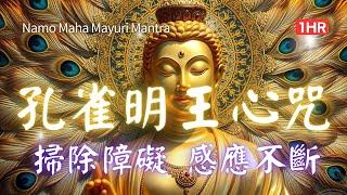 1hrs 大孔雀明王心咒 Mantra of Mahāmāyūrī / maha mayuri mantra 解毒避邪、消災解厄，助你遠離災害，開啟靜心減壓新境界！