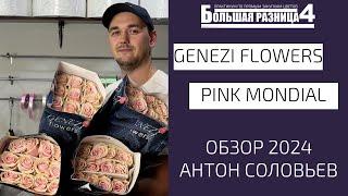Обзор плантации GENEZI FLOWERS ECUADOR - сорт Pink Mondial. Антон Соловьев
