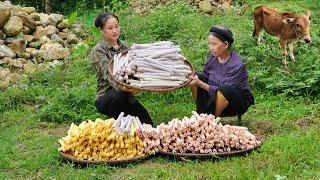 Process of making 3-color popcorn Goes to market sell | Taking care of pets | Lý Phúc An