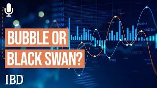 Is It A Bubble Or A Black Swan Event? Determining The Type Of Market Correction