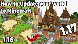 How to Update your Existing Survival world to Minecraft 1.17 MCASelector