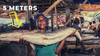 Lagos Nigeria Biggest Fish Market