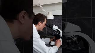 4 удивительных факта о современных процессорах. Ты этого не знал!