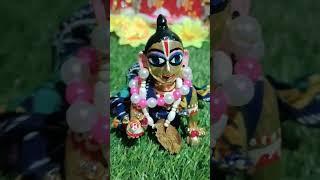 laddugopal new dance video binda bon jaung gi#shorts