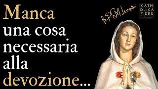 La Mediazione di Maria ridotta al lumicino. Ancora sugli eventi di “Rosa Mistica”