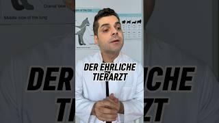 Der ehrliche Tierarzt  #comedy #lustig #humor #tierarzt #hund #katze #tiere