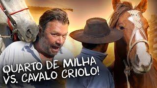 QUARTO DE MILHA OU CAVALO CRIOULO, QUAL O MELHOR? | RICHARD RASMUSSEN