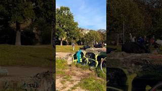 Frisbee in the park