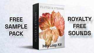 FREE NF Cinematic Sample Pack || Mini Flute Strings Loop Kit 2021