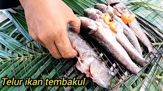 Santai-santai Badol Bersama Keluarga Bakar Ikan Tembakul // Ikan Belacak Bakar