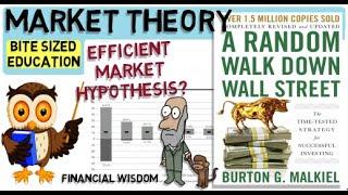 A RANDOM WALK DOWN WALL STREET By Burton Malkiel (Efficient Market Hypothesis)