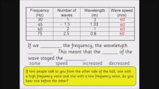 The Wave Equation