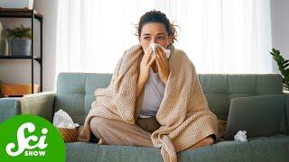 The Flu May Cause Alzheimer's