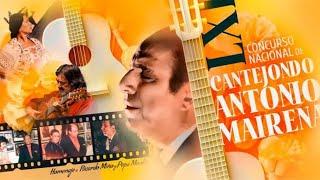 "Final LXII Concurso Cante Jondo Antonio Mairena 2024 - Flamenco en Vivo"