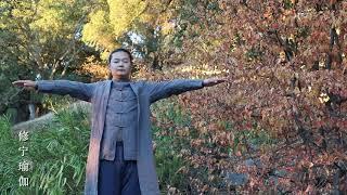 QiGong Chinese Kungfu 气功 中国功夫