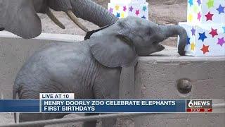 Omaha Zoo celebrates elephants' first birthdays