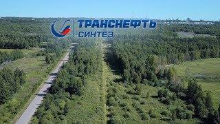 Транснефть | Синтез