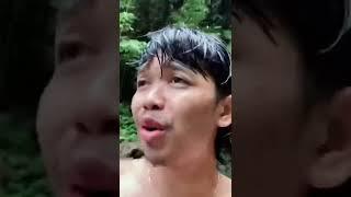 Ada Duyung Albino #shortsvideo #somplak #tiktok #tiktoklucu