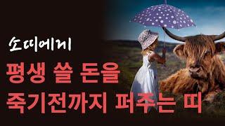 소띠! 부자가 되고싶으면 OO 띠랑 어울리면 됩니다! 소띠에게 최고 좋은 귀인띠 말도 못할 큰 행운이 들어옵니다! 대박터지는 띠궁합 천을귀인 밀어주는 소띠