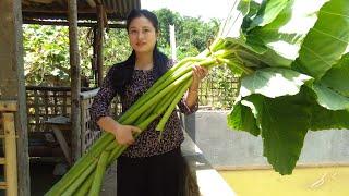 Raw Taro Stem Chutney | Only Taro Plant That Don't Have Itching Compounds