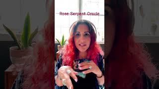 Rose Serpent Oracle #oraclereading#spiritguidemessages