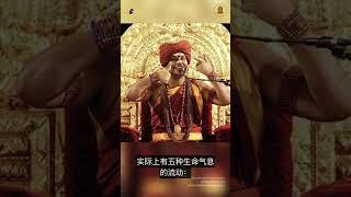 这是五大生命能量，它能改变你的生活！#尼希亚南达 #nithyananda