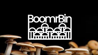 Meet the 'Boomr Bin' Monotub System | The Easiest Way to Grow Mushrooms