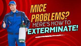 Preparing for Mice Exterminator