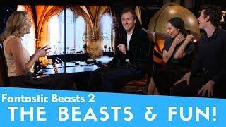 FANTASTIC BEASTS 2: Beasts & Fun!