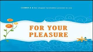 CARMIN D FOR YOUR PLEASURE (2009) - Compilation, Mixed, Euro Dance